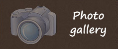 Photo Gallery